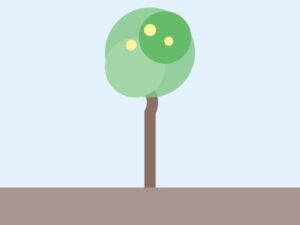 Acacia no florecerá